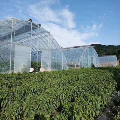 永吉溫室大棚