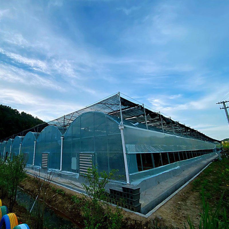 銅陵溫室工程