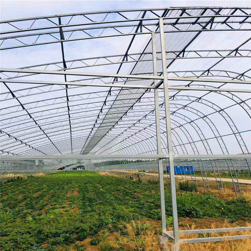 雙橋大棚骨架